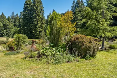 31501 Comptche Ukiah Road, Comptche, CA 95427 - Photo 43