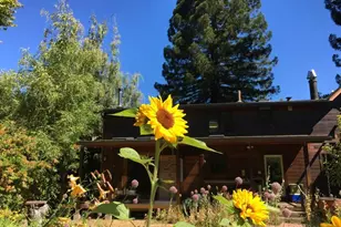 31501 Comptche Ukiah Rd, Comptche, CA 95427 - Photo 81