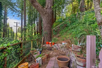 51 Monte Cimas Avenue, Mill Valley, CA 94941 - Photo 47