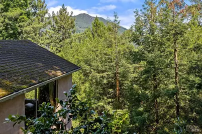 51 Monte Cimas Avenue, Mill Valley, CA 94941 - Photo 7