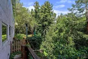 51 Monte Cimas Ave, Mill Valley, CA 94941 - Photo 11