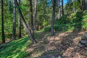 17301 Dogwood Way, Middletown, CA 95461 - Photo 67