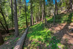 17301 Dogwood Way, Middletown, CA 95461 - Photo 61