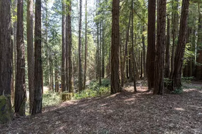 36778 Timber Ridge Road, The Sea Ranch, CA 95497 - Photo 45