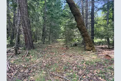 0 Registered Guest Road, Laytonville, CA 95454 - Photo 11