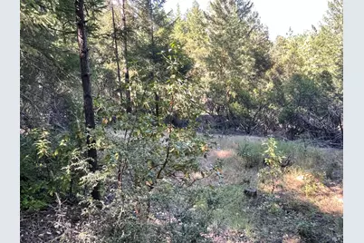1901 Tenmile Creek Road, Laytonville, CA 95454 - Photo 5