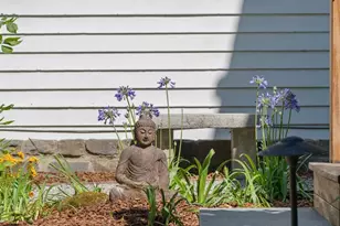 45 Grove Ln, San Anselmo, CA 94960 - Photo 75
