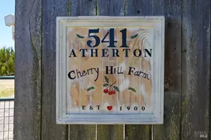 541 Atherton Ave, Novato, CA 94945 - Photo 43