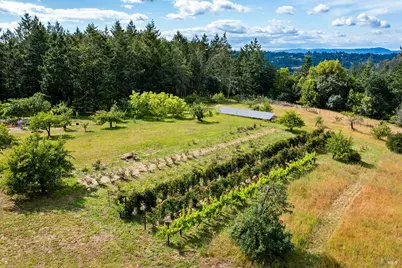 2630 Burnside Road, Sebastopol, CA 95472 - Photo 73