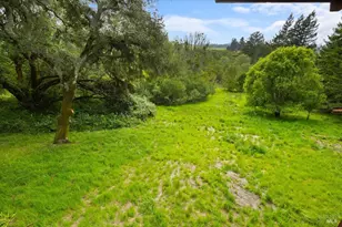 2019 Pleasant Hill Rd, Sebastopol, CA 95472 - Photo 67