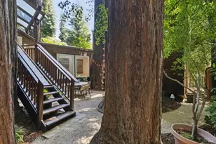 215 Madrone Ave, Larkspur, CA 94939 - Photo 61
