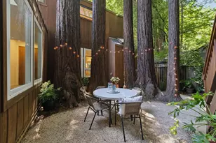 215 Madrone Ave, Larkspur, CA 94939 - Photo 63