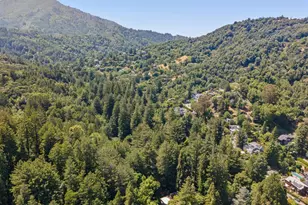 215 Madrone Ave, Larkspur, CA 94939 - Photo 71