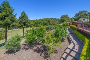6649 Round Oak Rd, Penngrove, CA 94951 - Photo 47