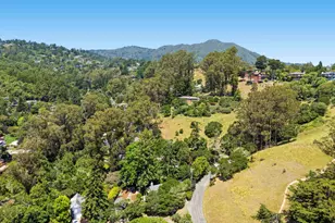 359 Montford Ave, Mill Valley, CA 94941 - Photo 39