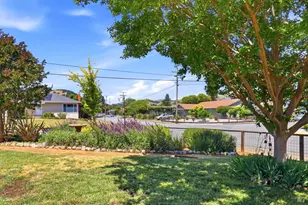 131 Grande Vista, Novato, CA 94947 - Photo 39