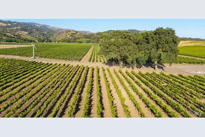 1260 Moody Lane, Geyserville, CA 95441 - Photo 3