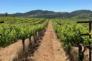 3585 Soda Cyn Rd, Napa, CA 94558 - Photo 1