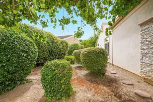 84 Spencer Way, Brentwood, CA 94513 - Photo 9
