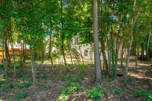 109 Oak Knoll Ave, San Anselmo, CA 94960 - Photo 23