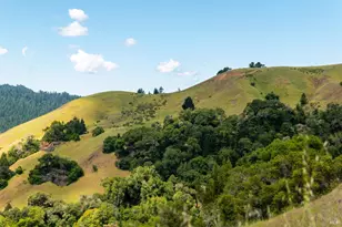 10500 Peachland Rd, Boonville, CA 95415 - Photo 19