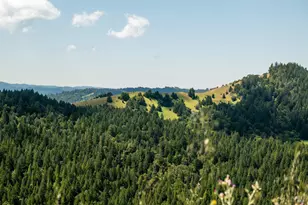 10500 Peachland Rd, Boonville, CA 95415 - Photo 25