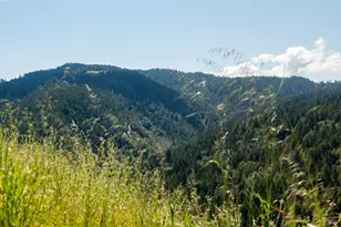10500 Peachland Rd, Boonville, CA 95415 - Photo 7