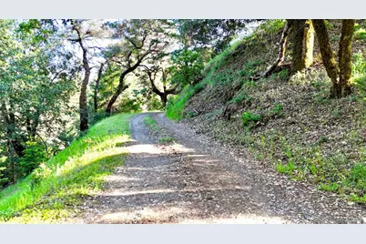 5000 Mohrhardt Ridge Road, Cazadero, CA 95421 - Photo 49