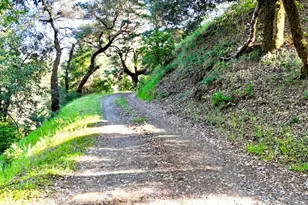 5000 Mohrhardt Ridge Rd, Cazadero, CA 95421 - Photo 49