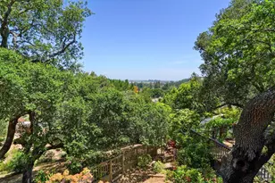 10 Shari Ct, Novato, CA 94947 - Photo 47