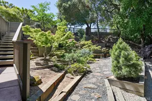 10 Shari Ct, Novato, CA 94947 - Photo 37