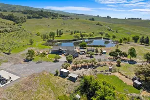 2315 Mountain Ranch Rd, Petaluma, CA 94954 - Photo 79
