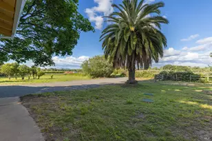 5163 Todd Rd, Sebastopol, CA 95472 - Photo 33