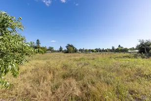 5163 Todd Rd, Sebastopol, CA 95472 - Photo 45