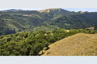 196 Oak Springs Drive, San Anselmo, CA 94960 - Photo 11