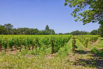 6160 Saint Helena Highway, Napa, CA 94558 - Photo 21