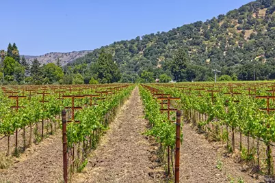 6160 Saint Helena Highway, Napa, CA 94558 - Photo 29