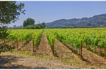 6160 Saint Helena Highway, Napa, CA 94558 - Photo 15