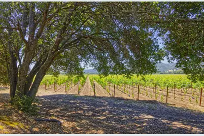 6160 Saint Helena Highway, Napa, CA 94558 - Photo 13