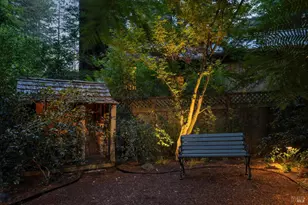 309 Corte Madera Ave, Mill Valley, CA 94941 - Photo 39