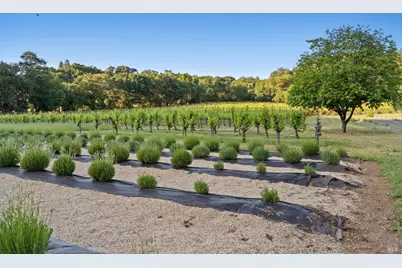 22200 Puccioni Road, Healdsburg, CA 95448 - Photo 39