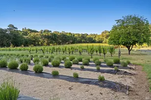 22200 Puccioni Rd, Healdsburg, CA 95448 - Photo 39