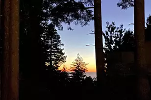 28800 Seaview Rd, Cazadero, CA 95421 - Photo 13
