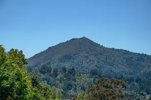 64 Corte Oriental, Greenbrae, CA 94904 - Photo 19