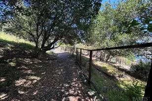 145 Antonette Dr, Tiburon, CA 94920 - Photo 11