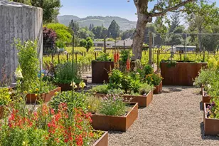 2111 Monticello Rd, Napa, CA 94558 - Photo 89