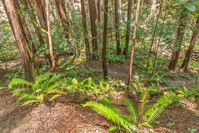 32401 S Highway 1, Gualala, CA 95445 - Photo 61