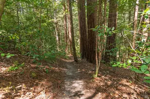 32401 S Hwy 1, Gualala, CA 95445 - Photo 57