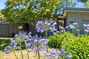 417 Hickory Ln, San Rafael, CA 94903 - Photo 11
