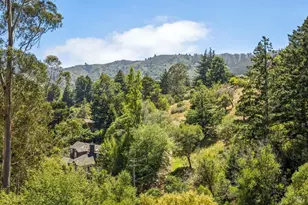 1030 Trillium Ln, Mill Valley, CA 94941 - Photo 19
